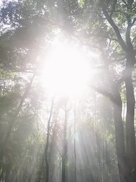 第1集 - 掌生緣滅