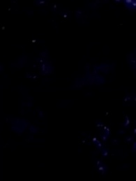 第20集 - 循環守護,情根深種