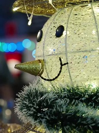 籠の鳥〜逆転の帰郷〜 - Episode 1