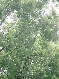 Episode 28 - As the Love Is