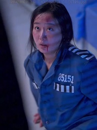 Серия 29 - [Дубляж] Пепел заката