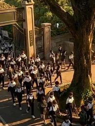 契約結婚のはずが、社長の初恋になりました - Episode 54