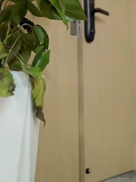 68화 - 천하무쌍 재벌집 딸