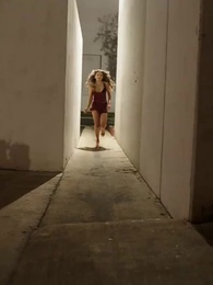 Episode 35 - [Synchron]Gestohlenes Leben, Wahre Prinzessin