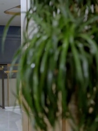 42화 - 천하무쌍 재벌집 딸