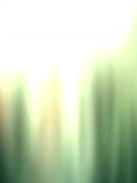 第41話 - 終末世界、美女怪異が俺に懐きすぎて困る