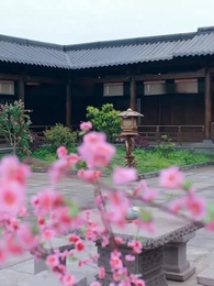 Épisode 37 - Les Liens Pourpres