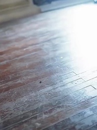 Salgueiro Selvagem - Episode 20