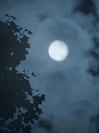 Alfa Kardeşler - Episode 57