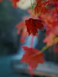 第32話 - 男装悪役、全員を狂 わせる