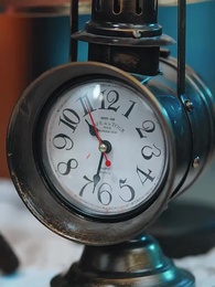 Episódio 3 - Salgueiro Selvagem