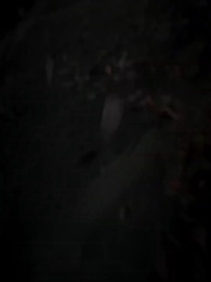 Bölüm 1 - [Dublajlı]Yükseliş Günü