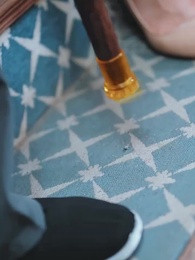 Salgueiro Selvagem - Episode 50