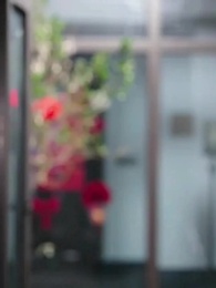 Tập 65 - Tình Mới Của Thần Y