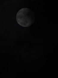 Pengkhianatan Berdarah - Episode 73