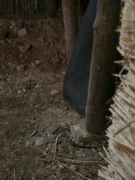 الحلقة 32 - نارٌ خلف جدران القصر