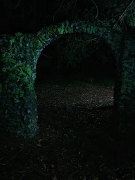 Bölüm 21 - Alfa Kardeşler