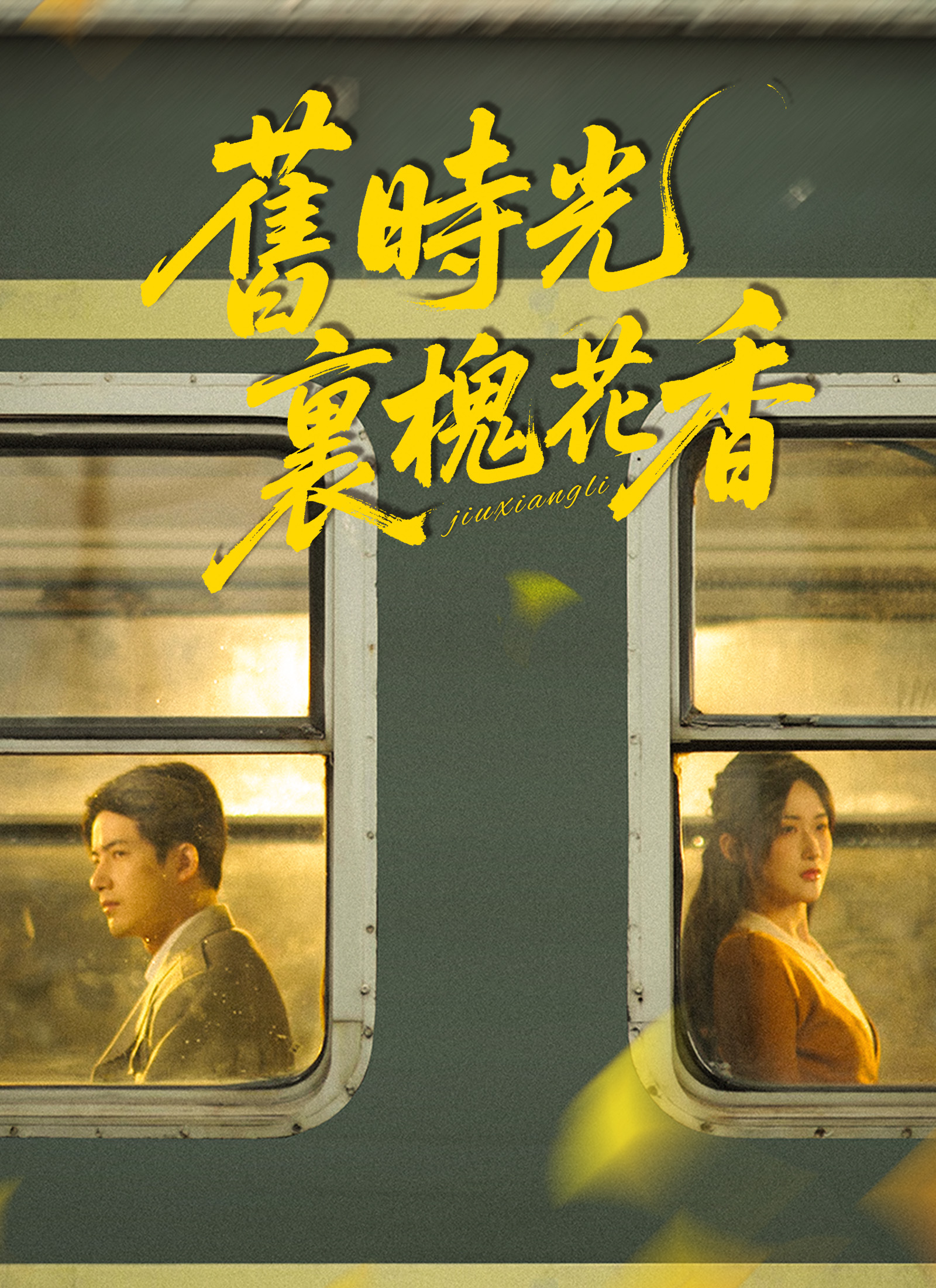 《舊時光裏槐花香》封面
