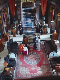 Episódio 29 - Salgueiro Selvagem