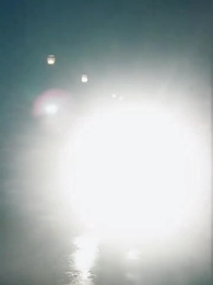 Episódio 6 - Salgueiro Selvagem