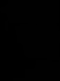 Episode 16 - Ikatan Terlarang