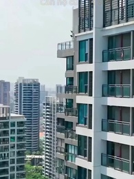 Tập 32 - Tình Mới Của Thần Y