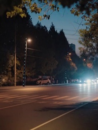 第33話 - 降りた奇跡の子~不妊のはずがパパだった!?