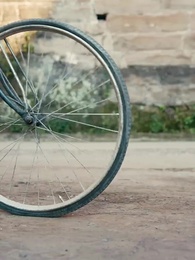 Blossom in the Seventies - Episode 65