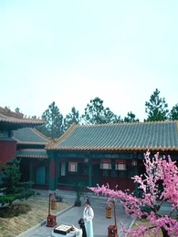 第5集 - 一世燈火落九霄