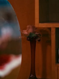 Blossom in the Seventies - Episode 19