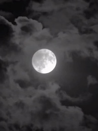 [مدبلج]سر العائلة المفقود: ولادة نجمة التشجيع - Episode 39