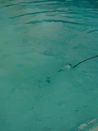 بعد خيانة، أنا أعود - Episode 27