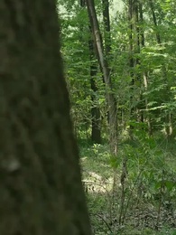 [Doppiato]Il Cultore - Episode 67