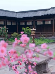 Episodio 37 - Reencuentro con Destino