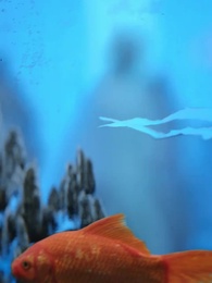 Episodio 2 - La Prescelta del Drago