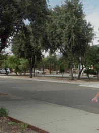 بعد خيانة، أنا أعود - Episode 80