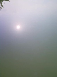 Episodio 64 - La Prescelta del Drago