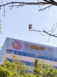 第1話 - [吹替]愛が燃え尽き 空しくなるまで