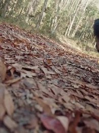 [Doblado]La Madrina del Emperador - Episode 60