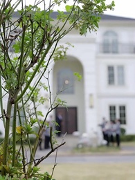 Episodio 1 - Me Despidió, Se Arruinó