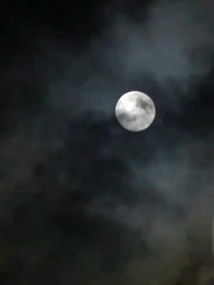 Episode 15 - The Phantom Queen: Back for Blood