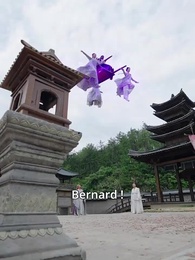 Épisode 12 - L'Appel de l'Épée : Sauver les Cieux