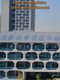 Episodio 10 - Despecho y Venganza