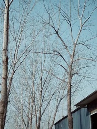 我帶榴蓮回村,成了全村公敵 - Episode 1