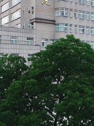 Episodio 58 - Despecho y Venganza