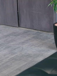 El yerno que humillaron - Episode 27