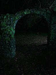 Episodio 21 - Fratellastri Alfa Mi Mordono