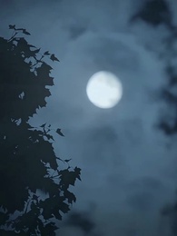 Fratellastri Alfa Mi Mordono - Episode 57