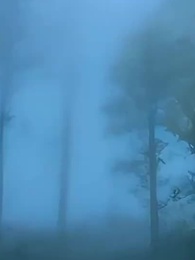 The Undying Scourge - Episode 33