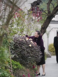 第54集 - 閃婚後, 殘疾大佬站起來了